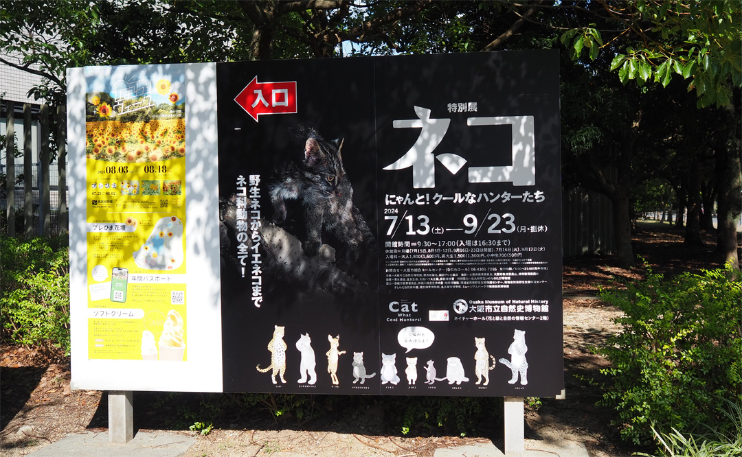 猫さんを探して【特別展 ネコ】 | フカボリトウカイ | 東海エリアの深 猫さんを探して【特別展 ネコ】 | フカボリトウカイ | 東海エリアの深
